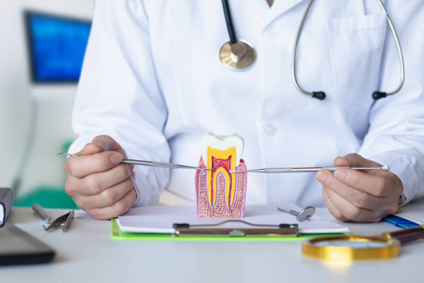 Best Emergency Treatment for Toothache in Fortuna Foothills, AZ